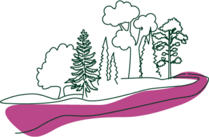 Illustration d'une rivière sinueuse entourée d'arbres, accentuée par une ligne rose