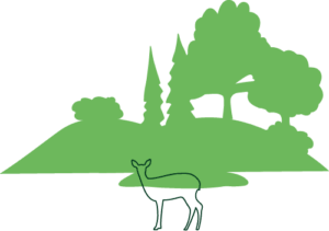 Illustration d'un cerf devant un paysage verdoyant