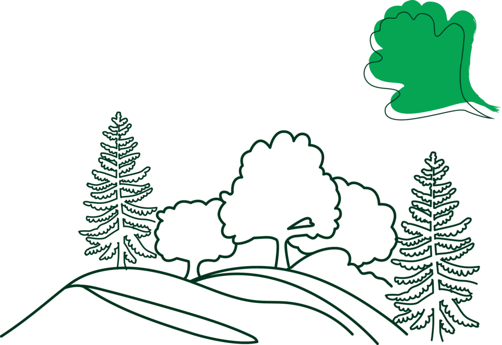 Illustration d'une forêt et d'une feuille verte