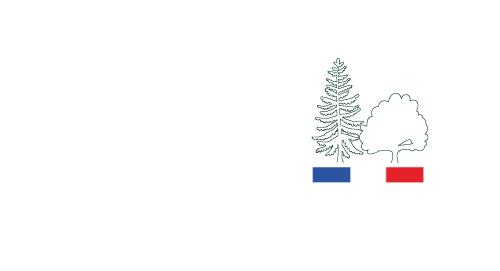 Les produits en bois provenant de la forêt française couvrent 60% de la demande nationale