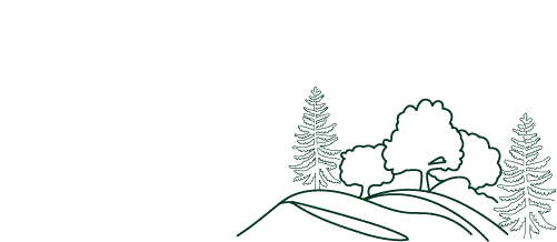 2,8 MDS DE M3 d’arbres vivants dans la forêt française métropolitaine soit plus d’1 million de piscines olympiques