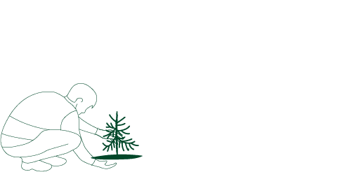 60 513 965 plants ont été vendus en France en 2021 / 2022