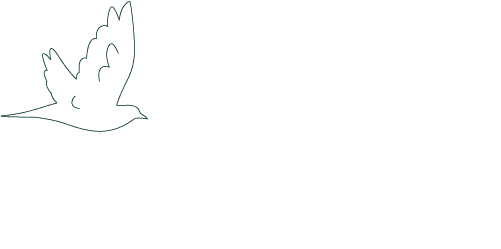 La population d'oiseaux en forêt est considérée comme stable. Entre 1989 et 2021, elle a baissé de seulement 2 % comparé aux -24 % pour l’ensemble des autres milieux naturels sur la même période