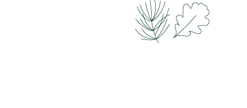 La forêt française est composée de trois types de peuplement distincts : 67% de feuillus, 20% de résineux et 13% de peuplements mixtes